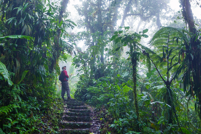 Monteverde Cloud Forest, Costa Rica