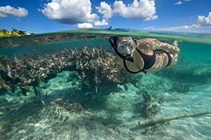 Snorkel, Cozumel