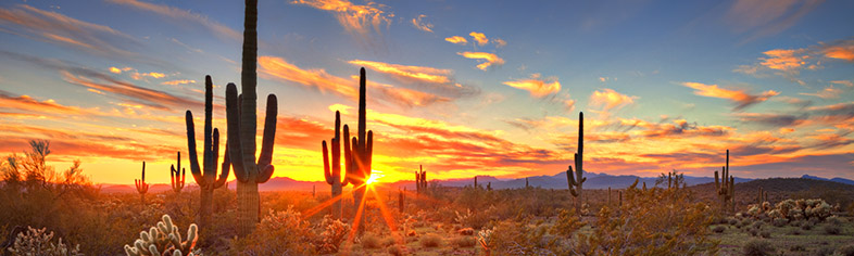 Arizona desert